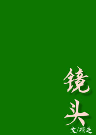 镜头发霉怎么处理